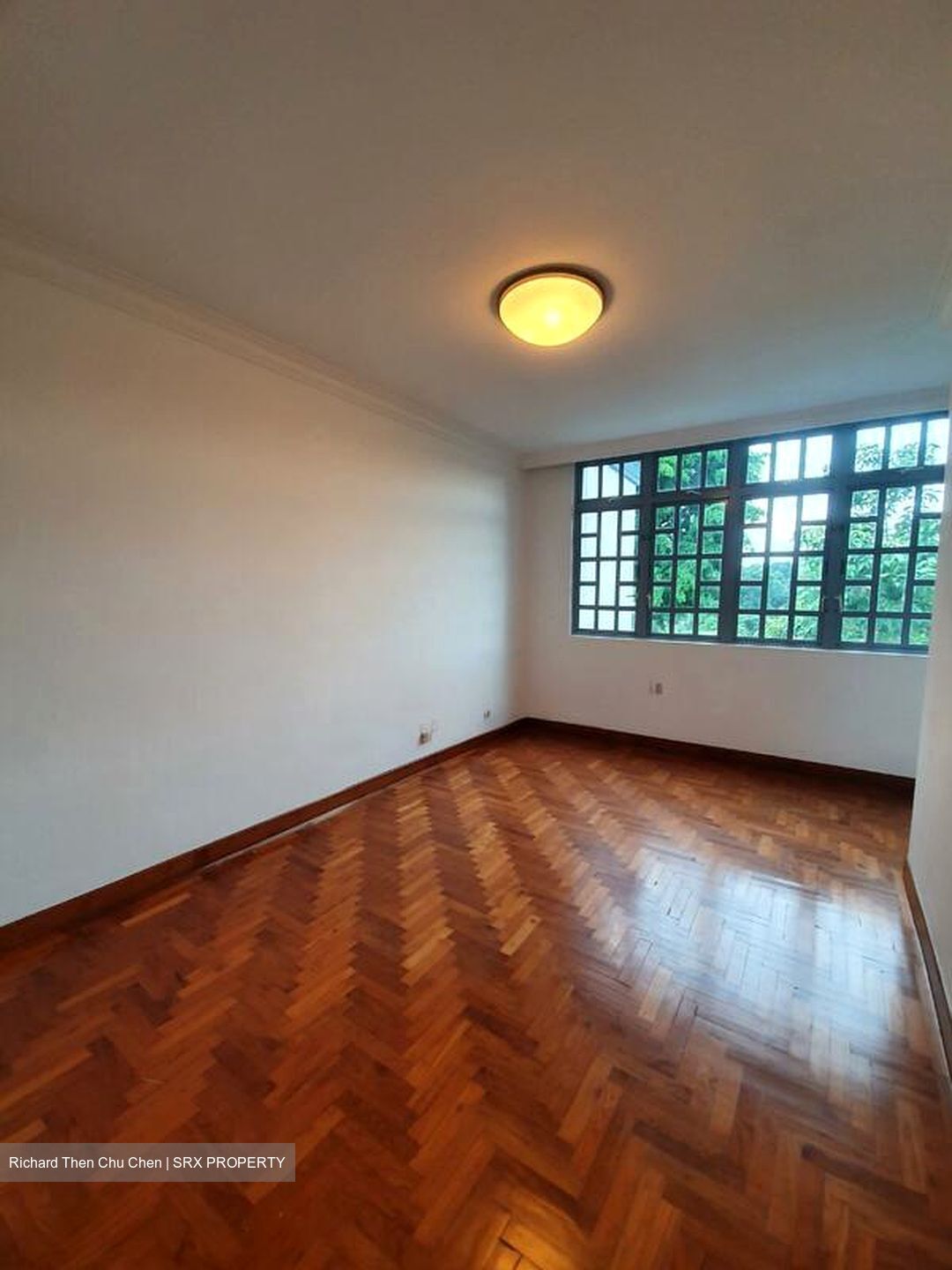 Chancery Grove (D11), Terrace #496256181